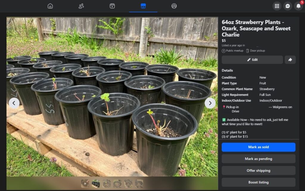 facebook strawberries listing